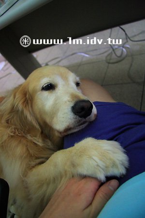 IMG_1955.jpg