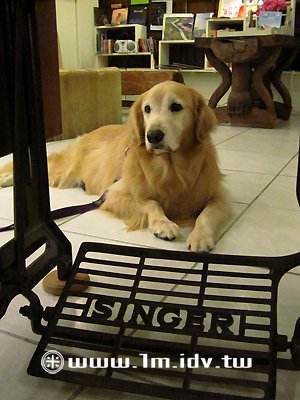 IMG_0438.jpg