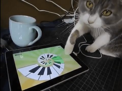 cat_ipad.PNG