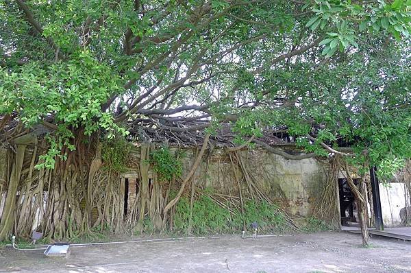 P1100299