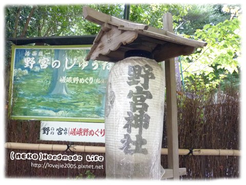 走到野宮神社囉