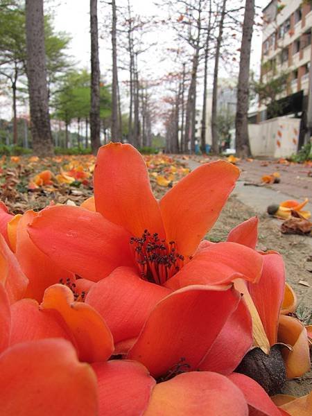 IMG_7892.JPG