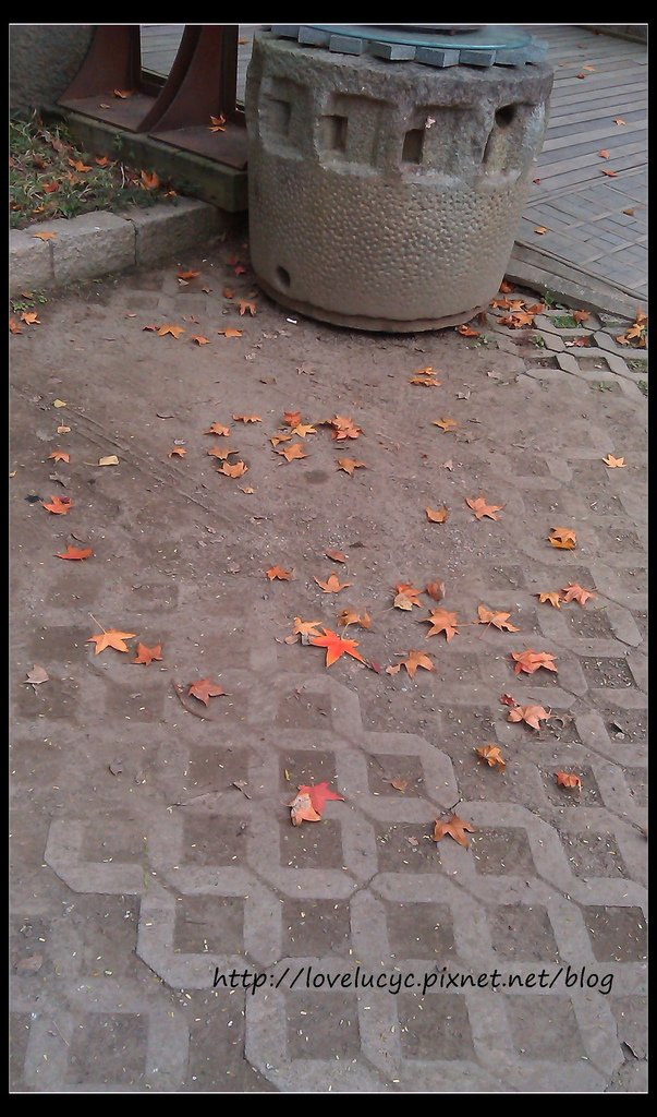 IMAG0190_1