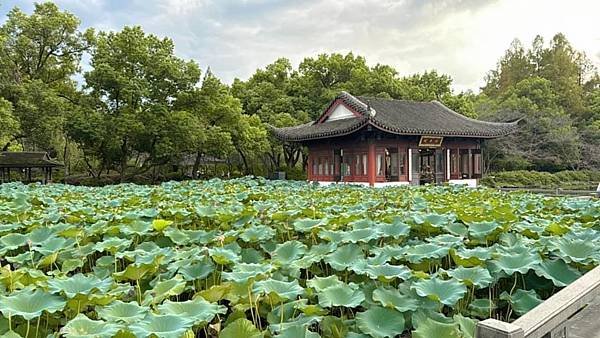 【中國杭州體驗人生行Ⅰ+Ⅱ】JAL.資生堂飛機餐. 杭州心隅