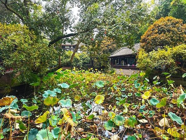 【攜手慢遊成都吃香喝辣趣】錦江公園.武侯祠.錦里. 烤匠麻辣