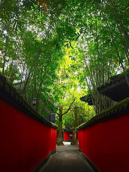 【攜手慢遊成都吃香喝辣趣】錦江公園.武侯祠.錦里. 烤匠麻辣