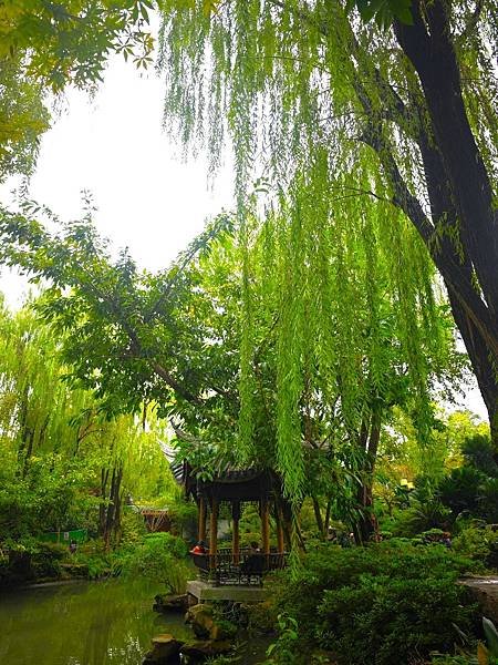 【攜手慢遊成都吃香喝辣趣】錦江公園.武侯祠.錦里. 烤匠麻辣