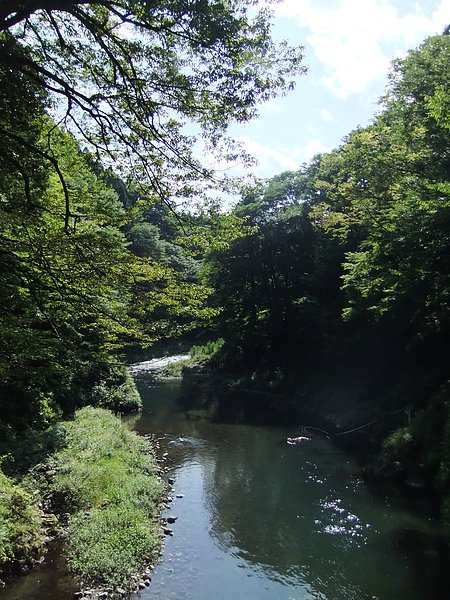 DSCF4983.JPG