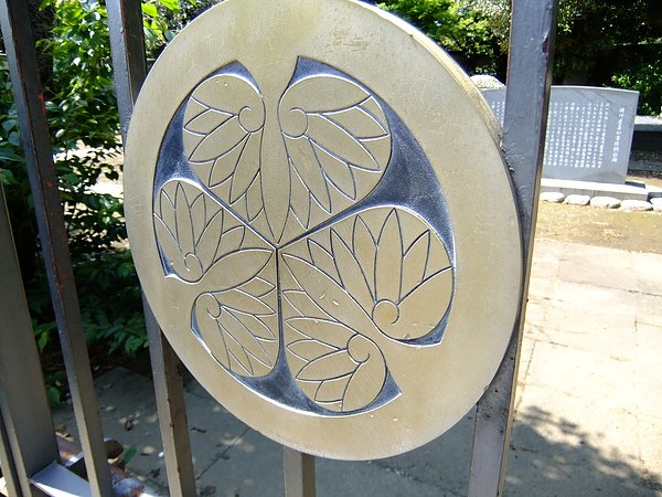 DSCF1204.JPG