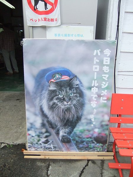 DSCF5229.JPG