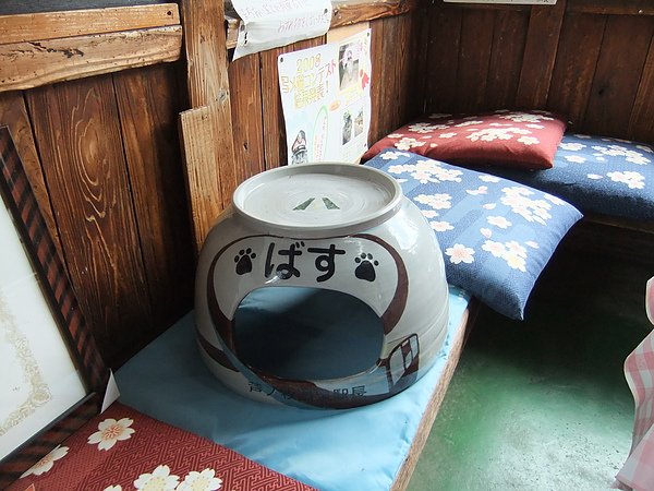 DSCF5231.JPG
