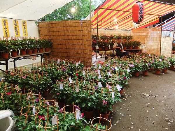 DSCF2721.JPG