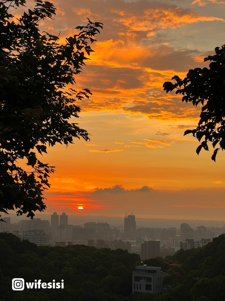 虎頭山環保公園5.jpg