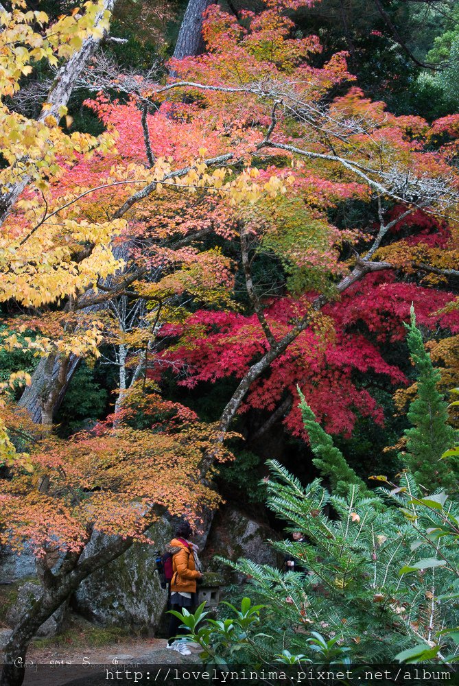 DSC_1090.jpg