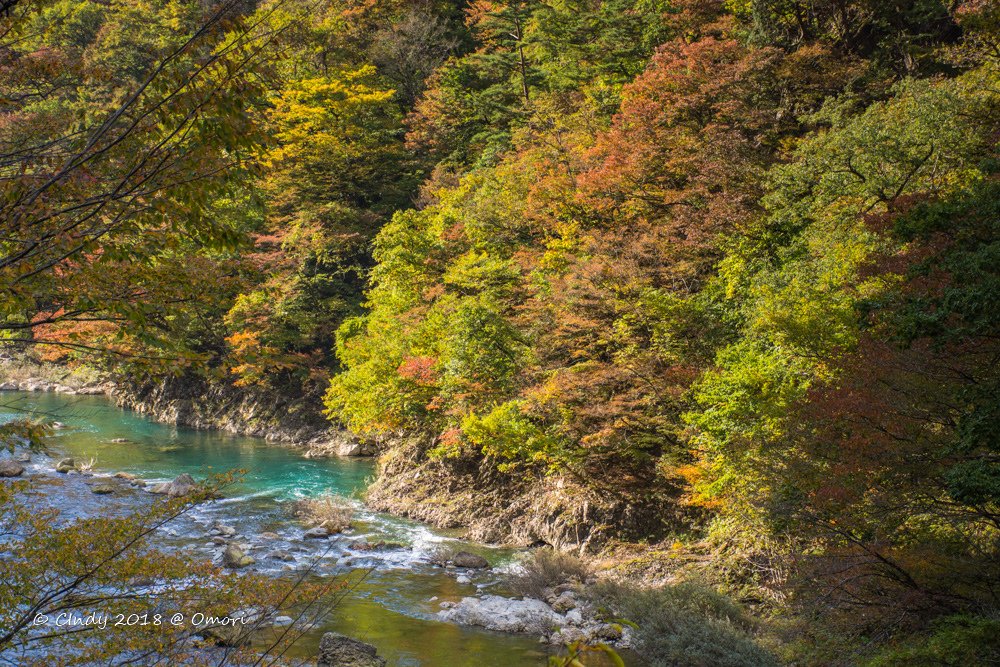 _DSC5028.jpg