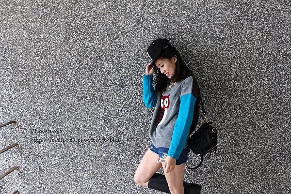 貓-藍 (6)