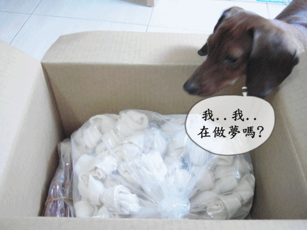 anigif.gif