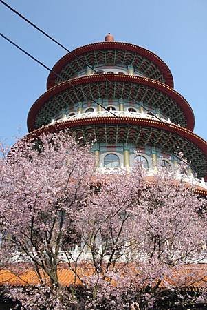IMG_7378
