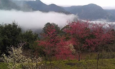 IMAG0234