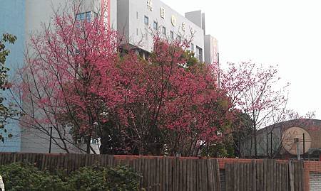 IMAG0240