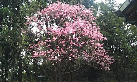 IMAG0347