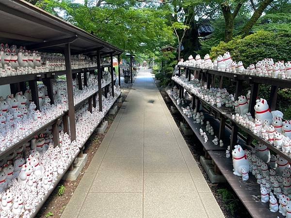 【日本景點推薦】東京世田谷「豪德寺」貓奴必訪神社!帶隻可愛招
