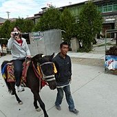 P1060495.JPG