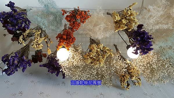 乾燥花專賣推薦星辰花