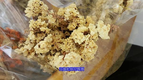 乾燥花零售推薦星辰花