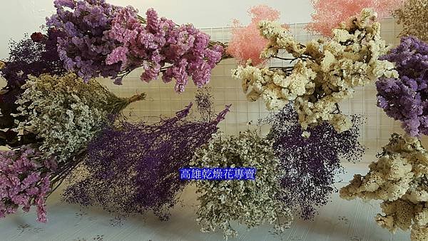 乾燥花推薦星辰花