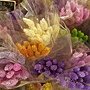 高雄加那利乾燥花 (2).jpg