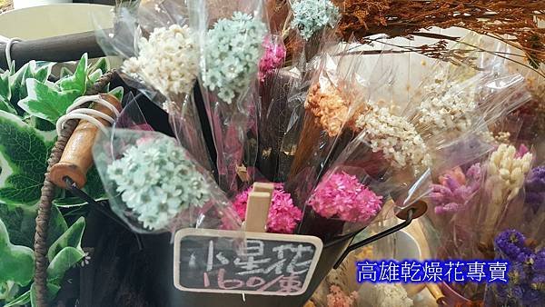 小星花乾燥花哪裡買