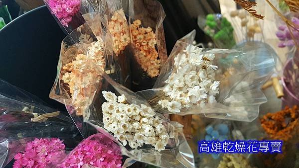 小星花乾燥花哪裡買