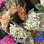 小星花乾燥花哪裡買