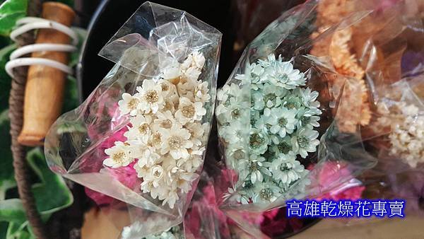 小星花乾燥花哪裡買