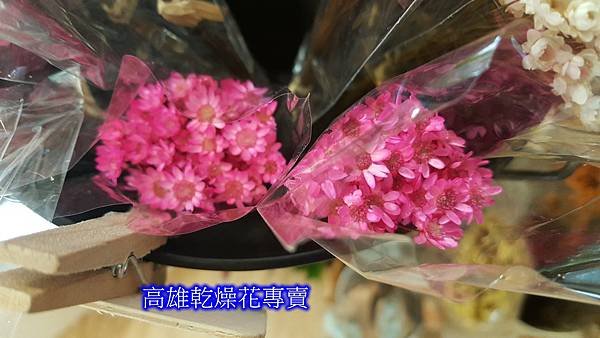 小星花乾燥花哪裡買