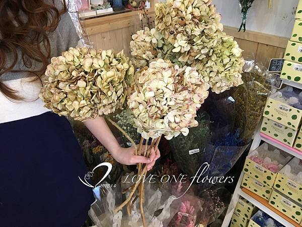 乾燥花_原生繡球花_高雄乾燥花店