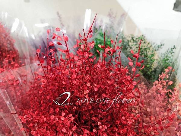 乾燥花_高雄花店_水燈草_翠扇_高雄乾燥花.jpg