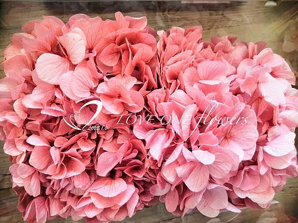 大地農園_高雄花店_乾燥花_不凋花_永生花_愛意花坊_LOVEONE (41)-2020.jpg
