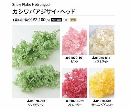 大地農園01070全01_繡球花哪裡買_繡球花介紹_永生花專賣_永生花推薦_愛意花坊-2022.jpg