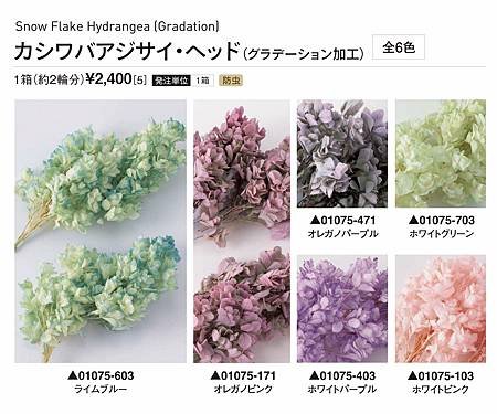 大地農園01075全01_繡球花哪裡買_繡球花介紹_永生花專賣_永生花推薦_愛意花坊-2022.jpg