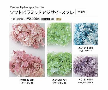 大地農園01513全-01_繡球花哪裡買_繡球花介紹_永生花專賣_永生花推薦_愛意花坊-2022.jpg