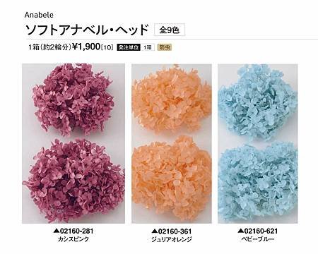 大地農園02160-01_繡球花哪裡買_繡球花介紹_永生花專賣_永生花推薦_愛意花坊-2022.jpg