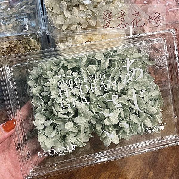 大地農園01510_01513_-01070_01075_02160_繡球花哪裡買_繡球花介紹_永生花專賣_永生花推薦_愛意花坊_04-01.jpg