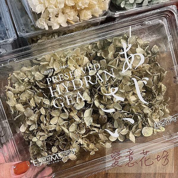 大地農園01510_01513_-01070_01075_02160_繡球花哪裡買_繡球花介紹_永生花專賣_永生花推薦_愛意花坊_07-01.jpg