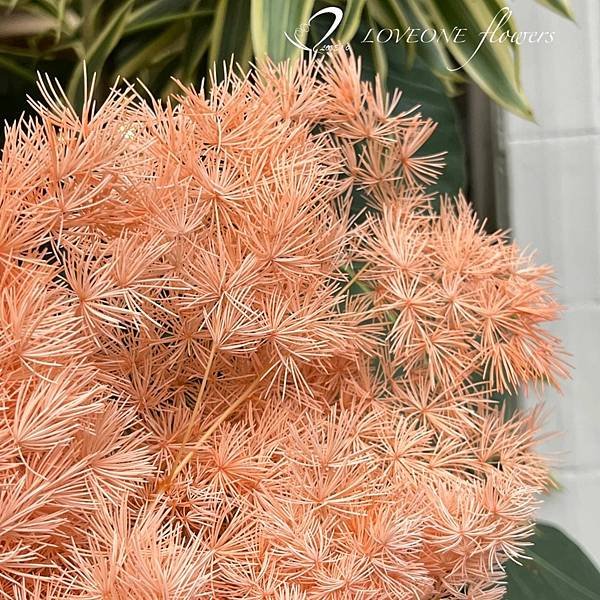 粉橘色蓬萊松_愛意花坊_高雄乾燥花_乾燥花專賣_loveoneflowers_新花材-2022.jpg