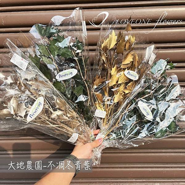 聖誕葉材推薦_冬青葉-01.jpg