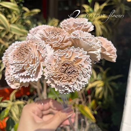 康乃馨_母親節_母親節花材_母親節禮物_通草康乃馨-4.jpg