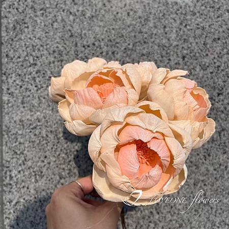 1通草花_索拉花_牡丹_通草牡丹_索拉牡丹_擴香花-3.jpg