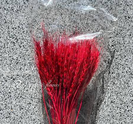 加那利_麥穗_八角花_乾燥花材-4.jpg